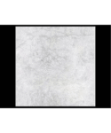 24" x 24" ANTARTIC ICE