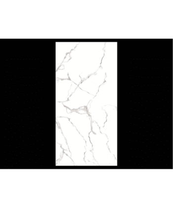 12" x 24" VENUS BIANCO