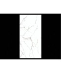 24" x 48" VENUS BIANCO