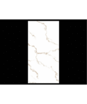 24" x 48" SATVARIO GOLDEN