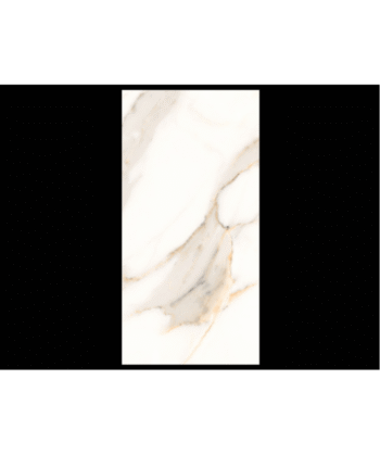 12" x 24" BLANCO WHITE