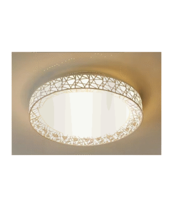 Acrylic Flush Mount Ceiling Light