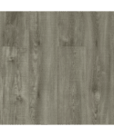 falcon (10)